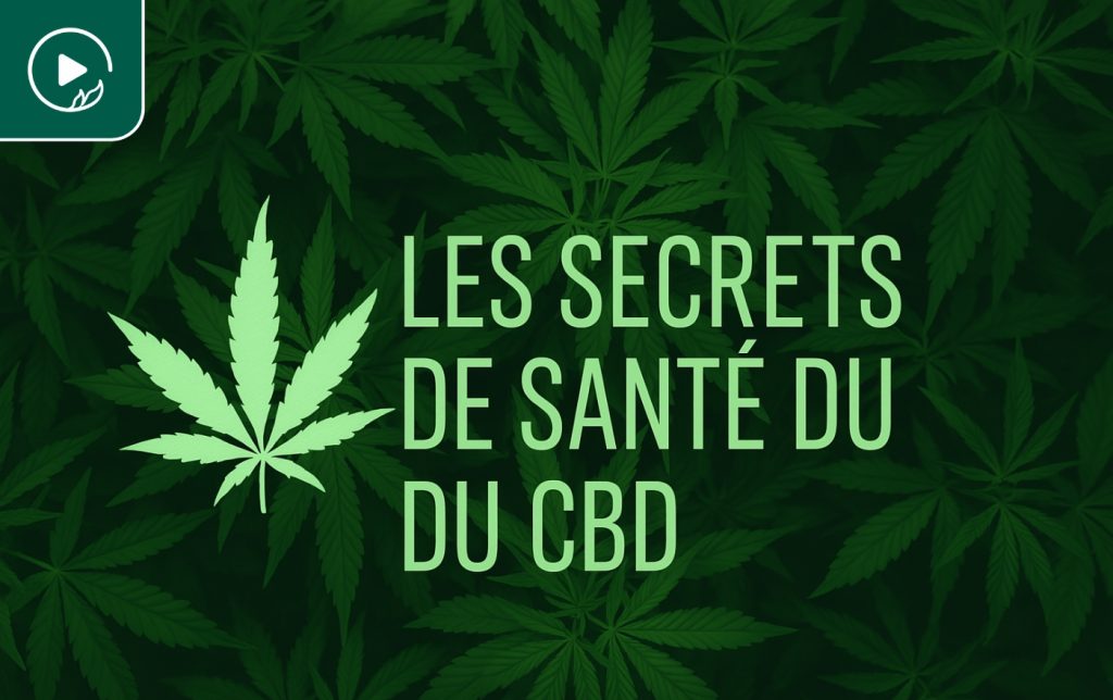 Les secrets de santé du CBD