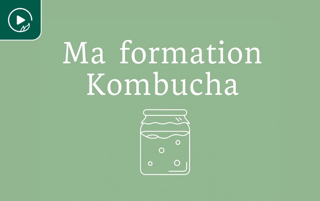 Ma formation Kombucha