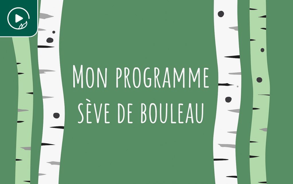 Mon programme sève de bouleau