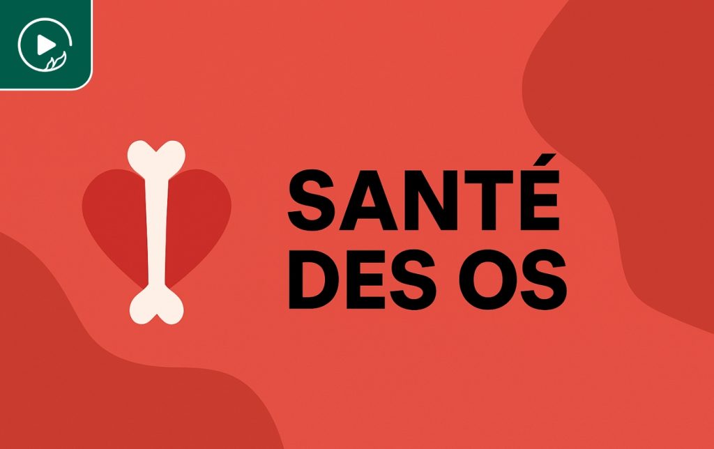 Santé des os