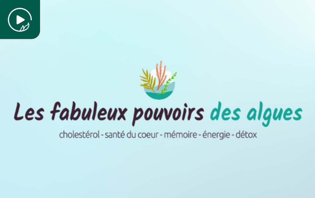 Les fabuleux pouvoirs des algues