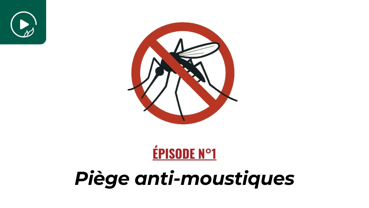 Piège anti-moustiques