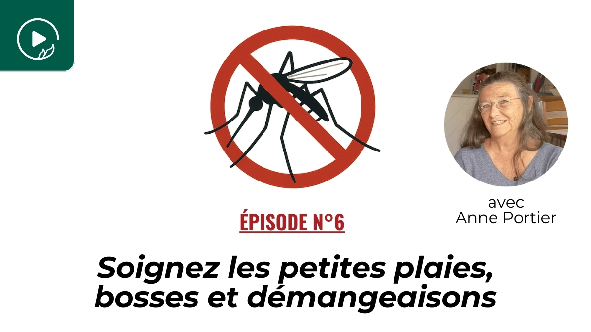 Soignez les petites plaies, bosses et démangeaisons