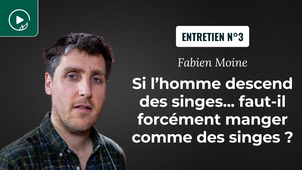 Manger comme les grands singes : une fausse bonne idée ?